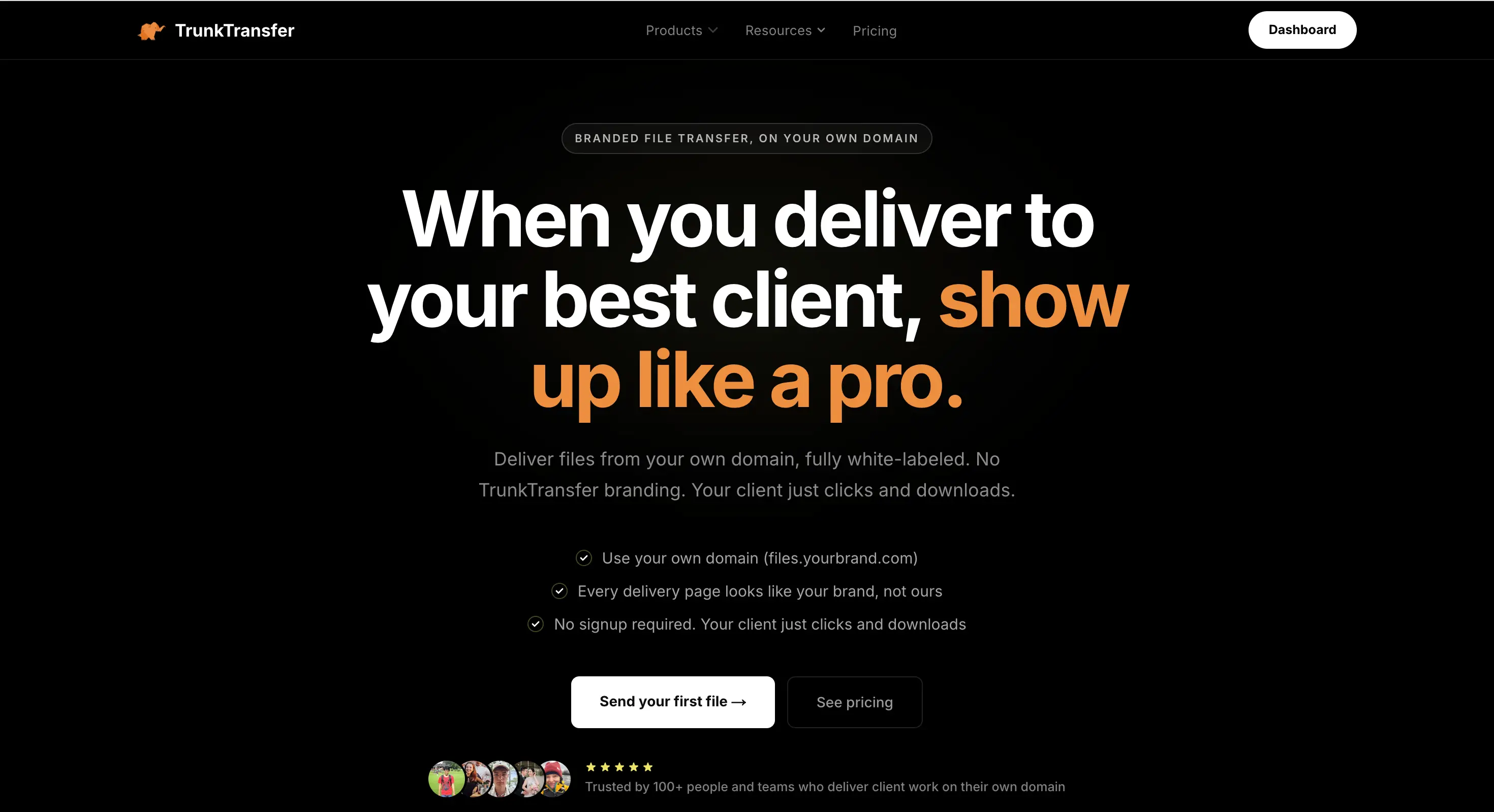 TrunkTransfer's branded delivery page on the studio's own domain